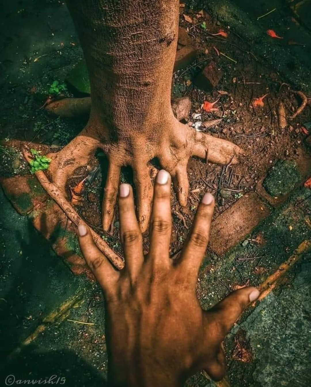 L'être humain part inhérente de Mère Nature, racine d'arbre et phalanges de main, la magie du vivant