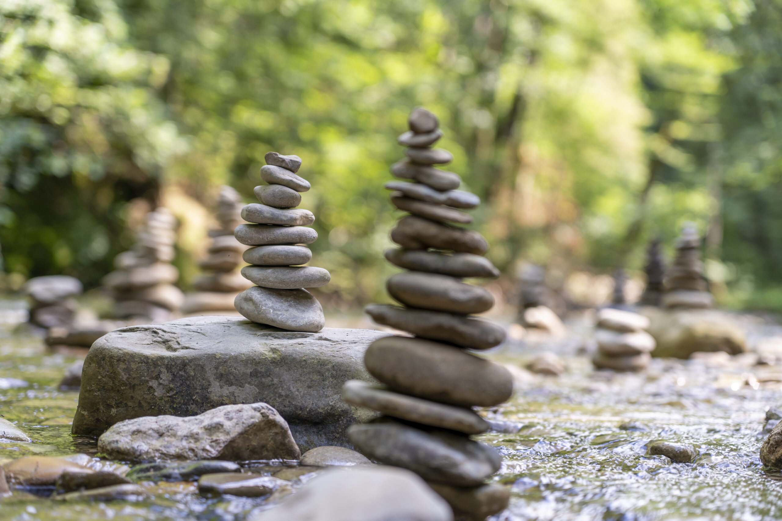 La naturopathie: Retour à l'équilibre à l'homéostasie 